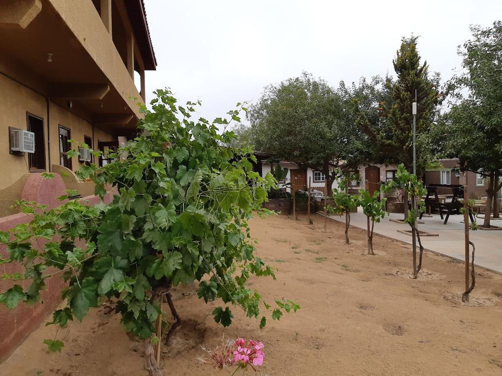 Hotel Meson Del Vino Valle de Guadalupe Exterior foto