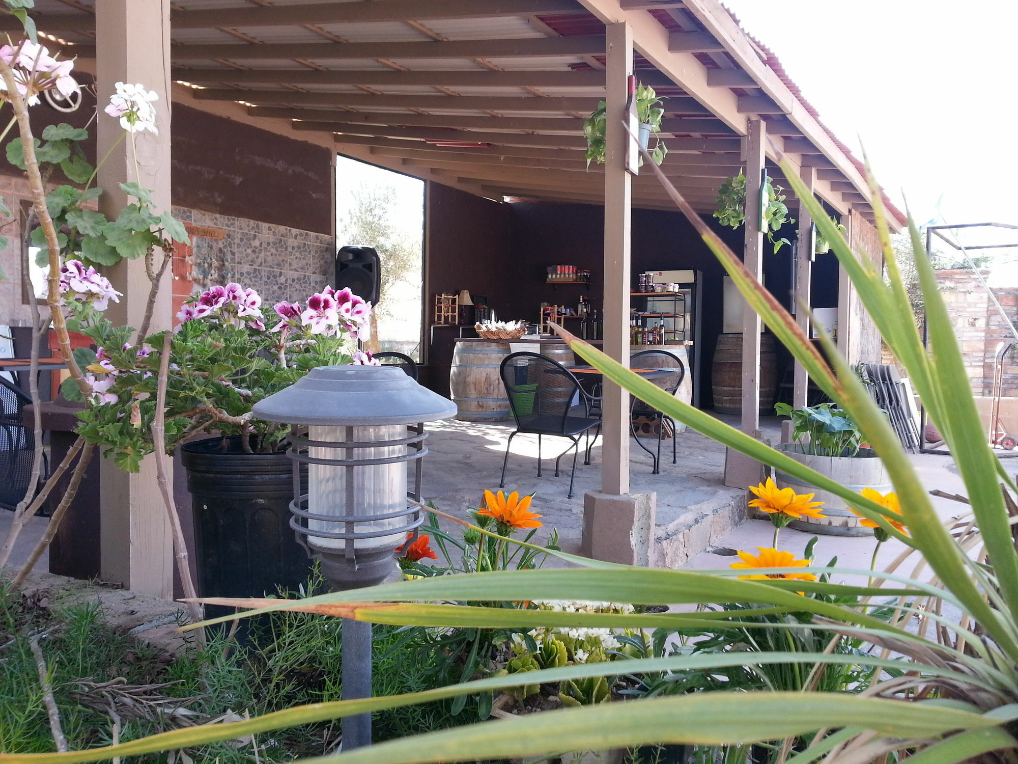 Hotel Meson Del Vino Valle de Guadalupe Exterior foto