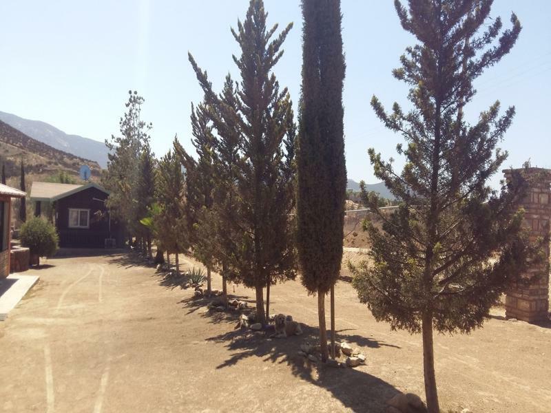 Hotel Meson Del Vino Valle de Guadalupe Exterior foto